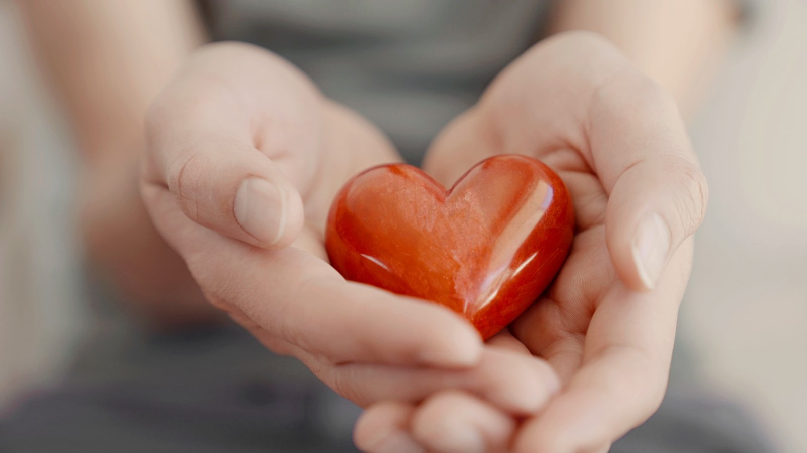 Hands holding red heart, heart health insurance, happy charity volunteer