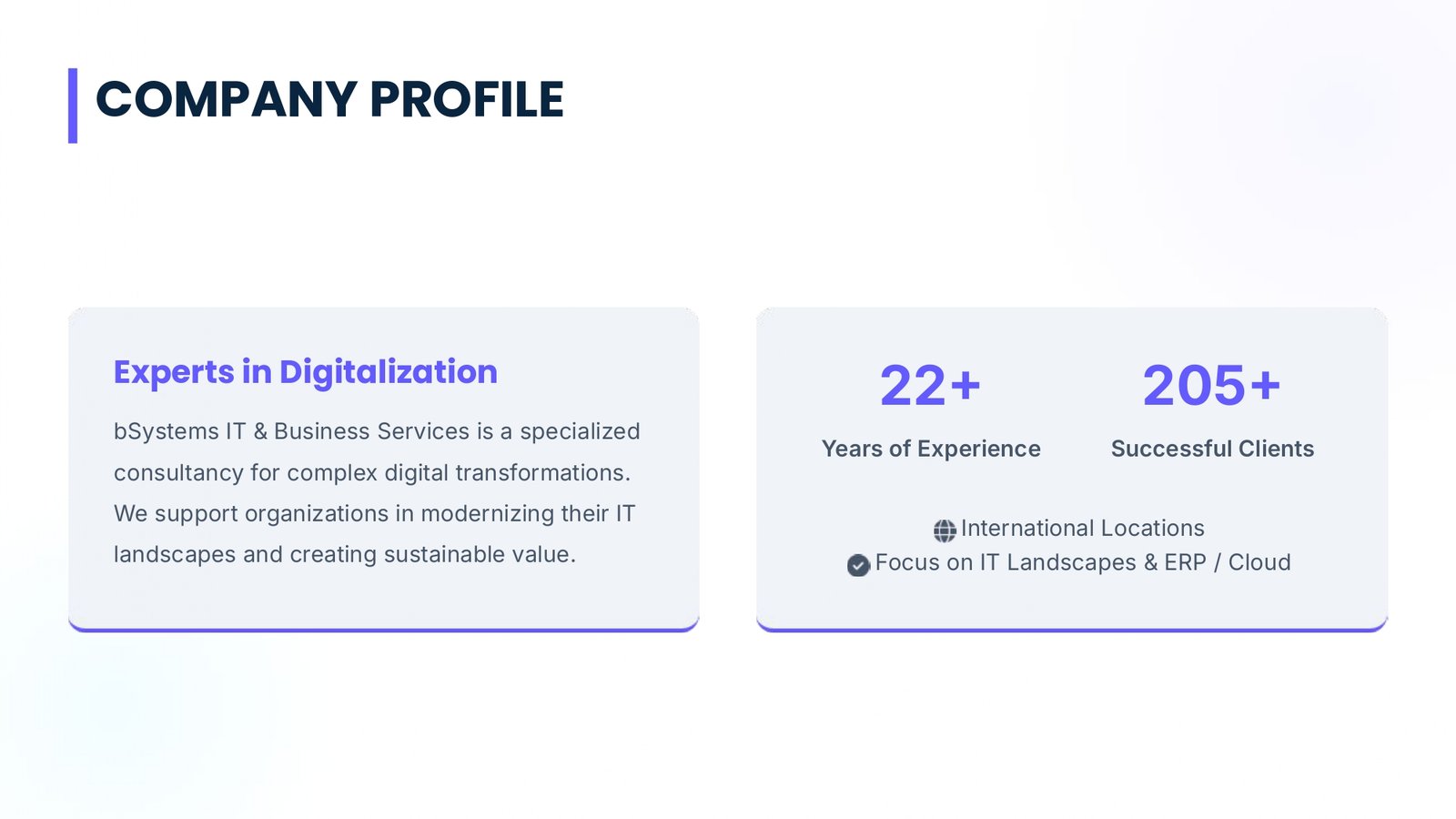 bSystems IT PresentationEnglish.pptx_page-0002